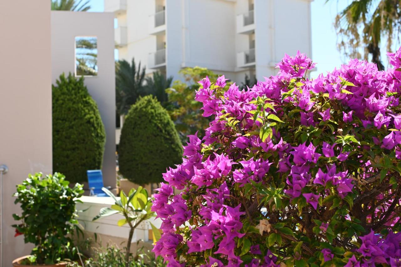 Отдыхайте С Удовольствием Paphos Ngoại thất bức ảnh